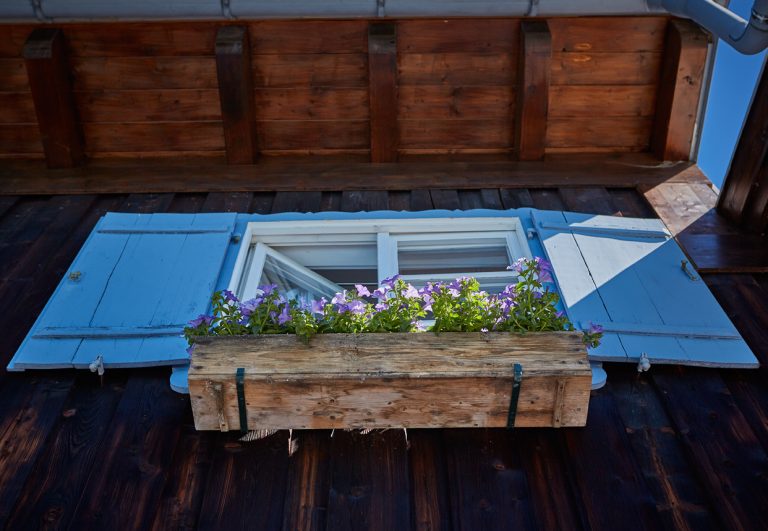 Fenster mit Blumenkasten und blauen Fensterläden des Almbad Sillberghaus
